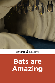 Bats are Amazing, Antares Reading