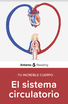 Tu increíble cuerpo: El sistema circulatorio, Antares