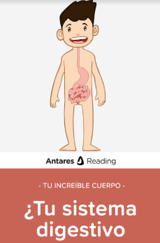Tu increíble cuerpo: tu sistema digestivo, Antares
