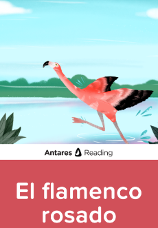 El flamenco rosado, Antares Reading