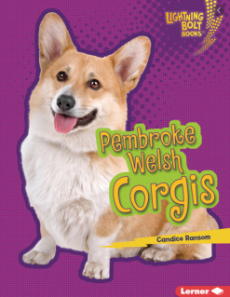 Pembroke Welsh Corgis, Candice Ransom